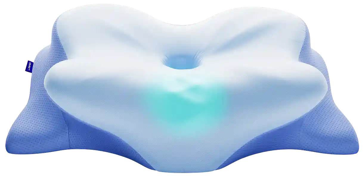 Derila Ergo Pillow &mdash; Butterfly Memory Foam USA Official 2026