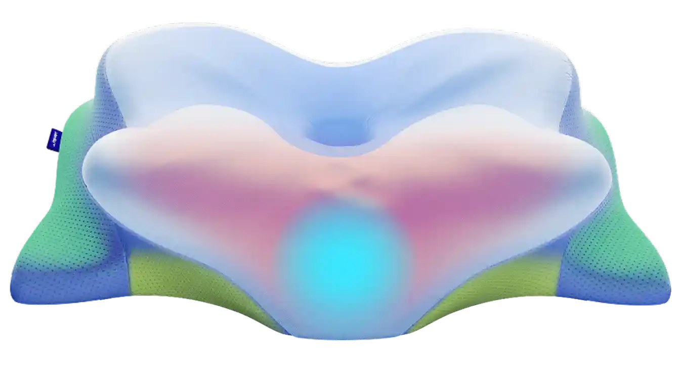 Derila Ergo Pillow &mdash; Verified Review Summary USA